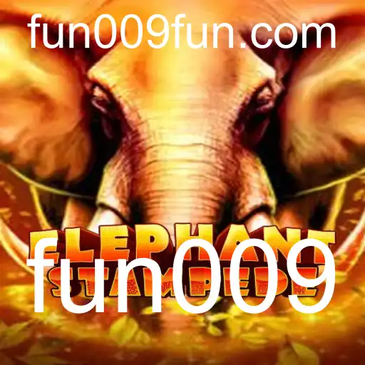 fun009 Eventos exclusivos